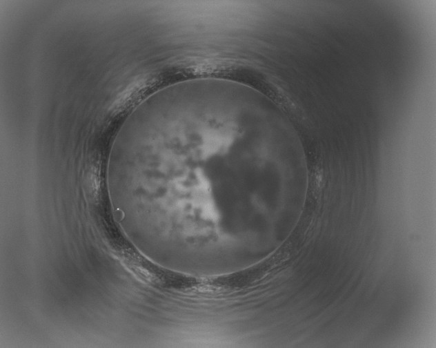 X0000077360691200610201323