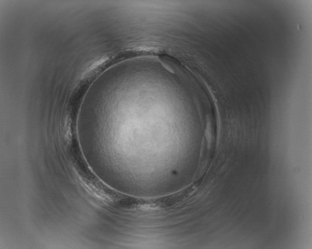 X0000077360692200610201323