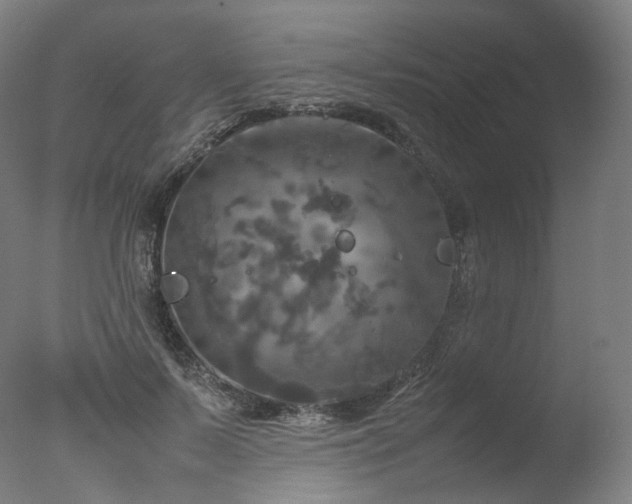 X0000077360695200610201323