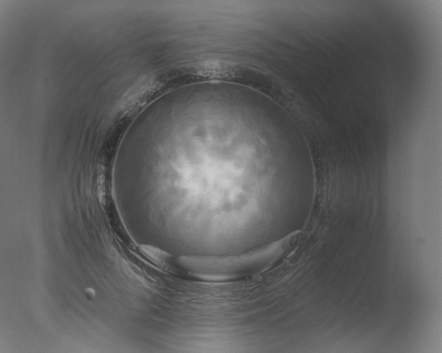 X0000077360696200610201323