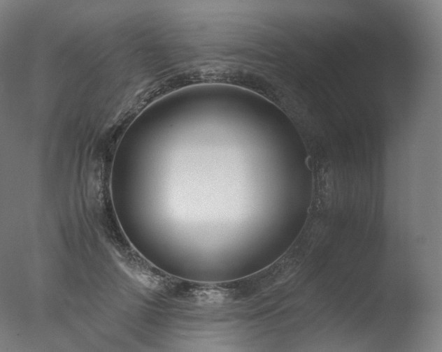 X0000077360698200610201323