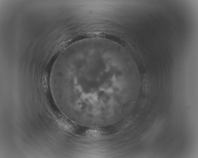 X0000077360699200610201323