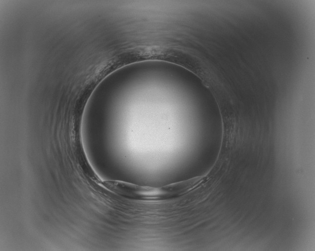 X0000077360700200610201323