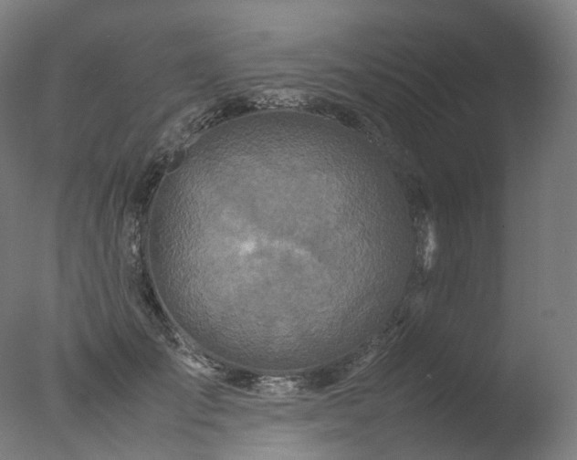 X0000077360701200610201323