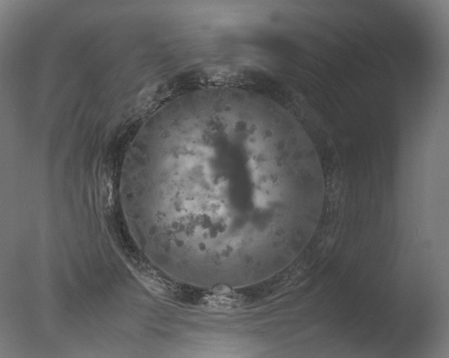 X0000077360703200610201323