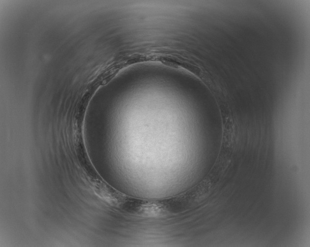 X0000077360704200610201323