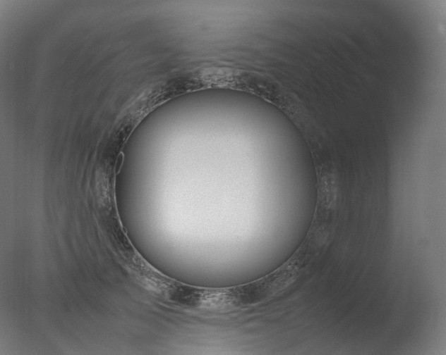 X0000077360705200610201323