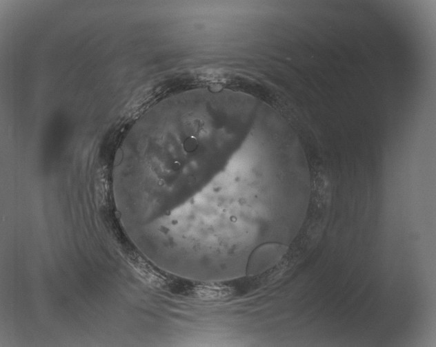 X0000077360707200610201323