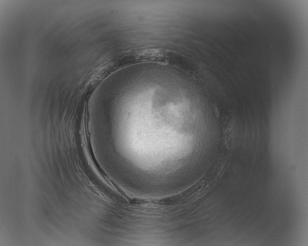 X0000077360708200610201323