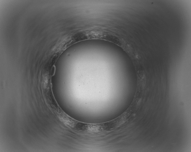 X0000077360709200610201323