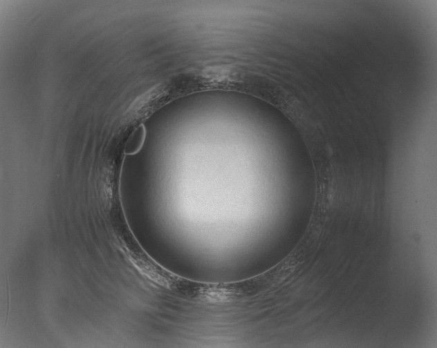 X0000077360710200610201323