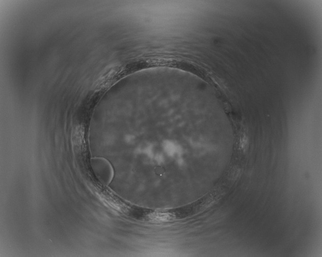 X0000077360711200610201322