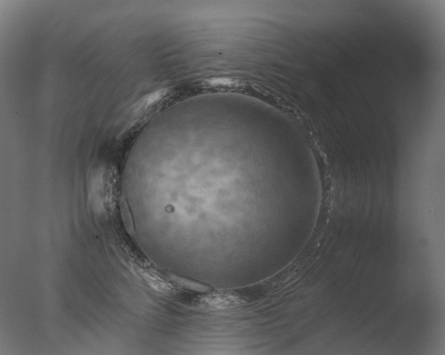 X0000077360712200610201322