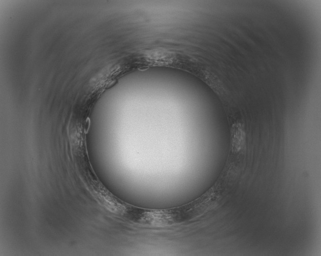 X0000077360713200610201322