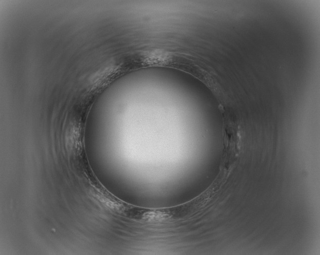 X0000077360714200610201322