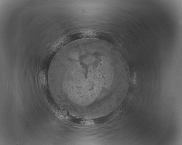 X0000077360715200610201322