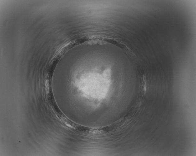 X0000077360716200610201322