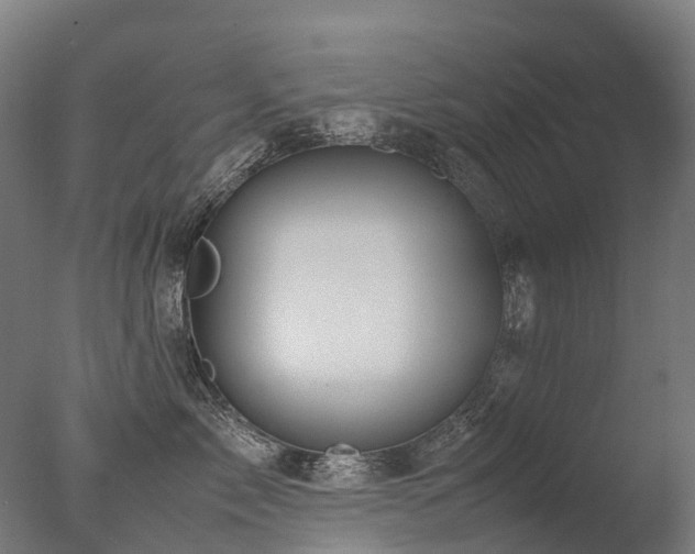 X0000077360717200610201322