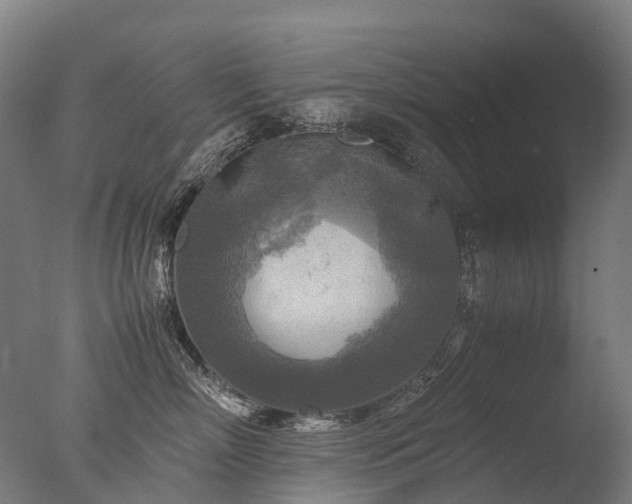 X0000077360718200610201322