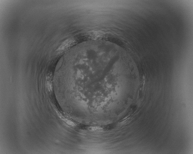 X0000077360719200610201322