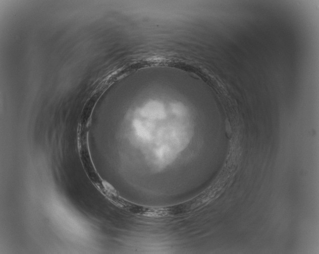 X0000077360720200610201322