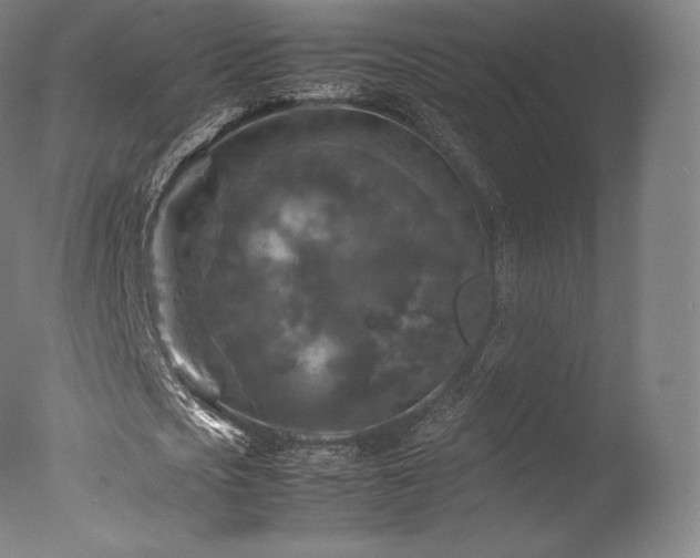 X0000077360721200610201322