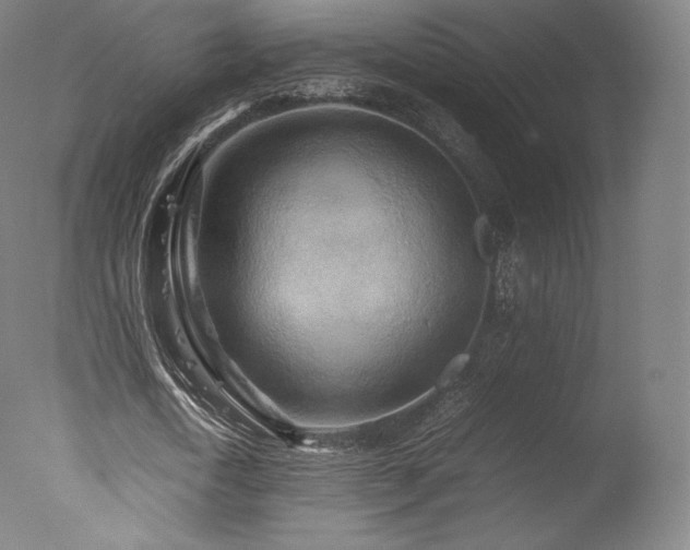 X0000077360722200610201322