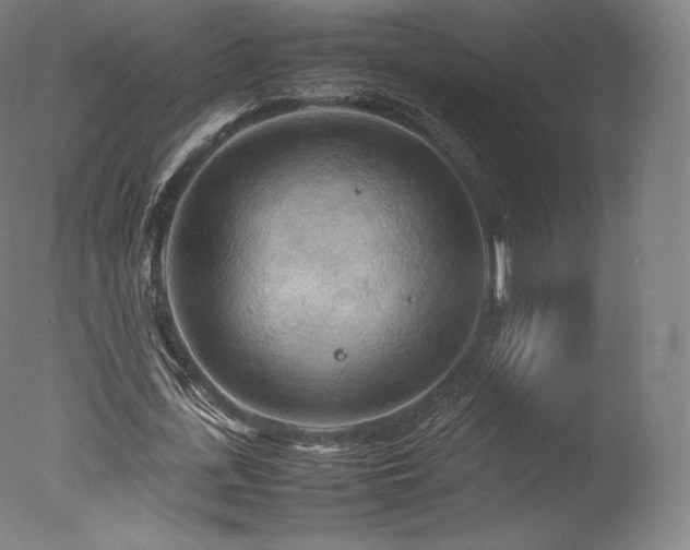 X0000077360723200610201322