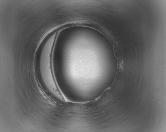 X0000077360724200610201322