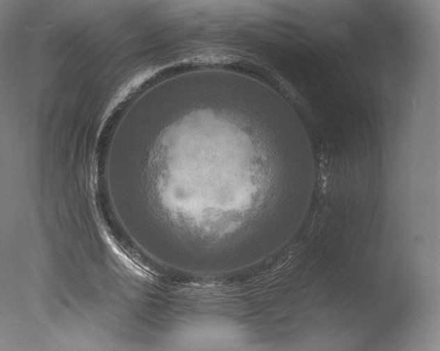 X0000077360726200610201322