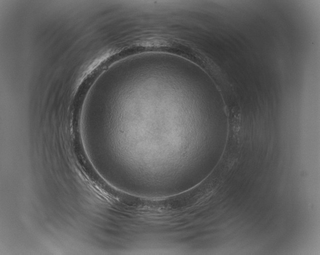 X0000077360727200610201322