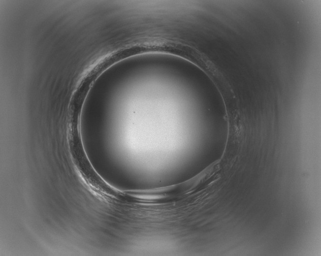 X0000077360728200610201322