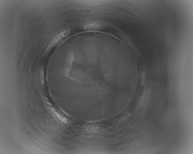 X0000077360729200610201322