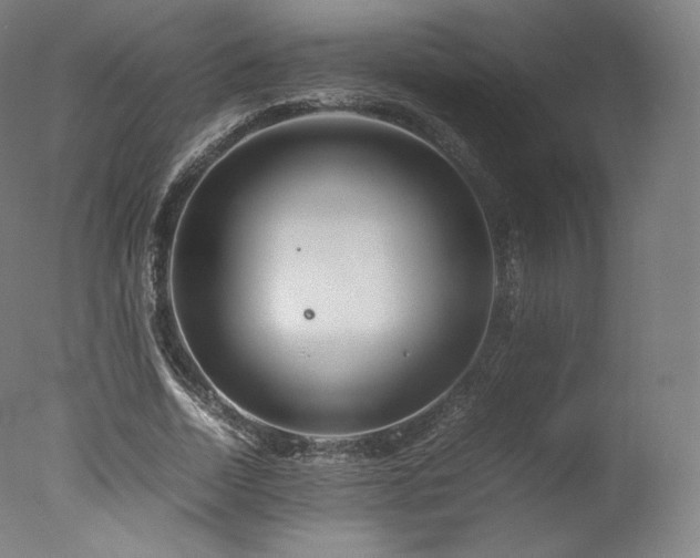 X0000077360730200610201322