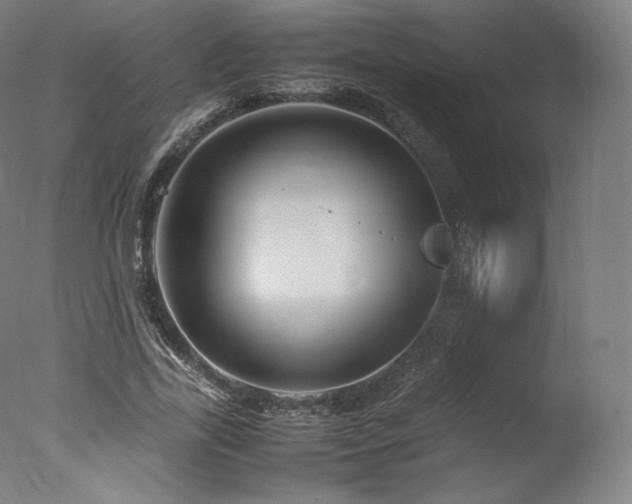 X0000077360731200610201322