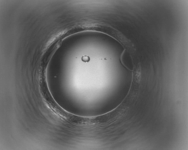 X0000077360732200610201322