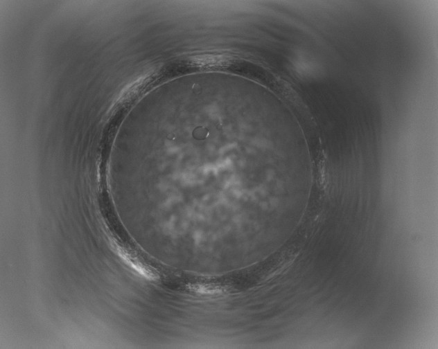 X0000077360733200610201322