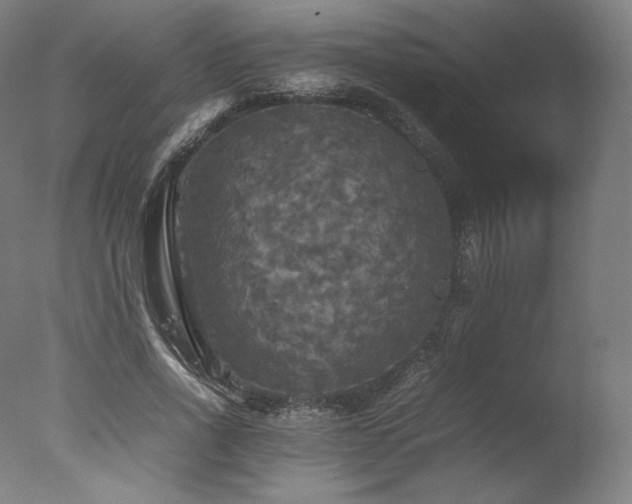 X0000077360734200610201322