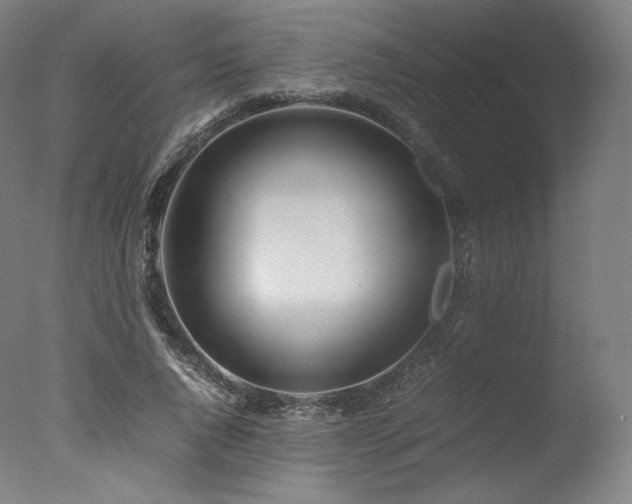 X0000077360736200610201322