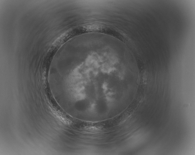 X0000077360737200610201322