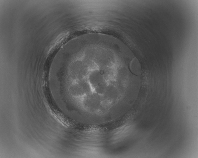 X0000077360738200610201322