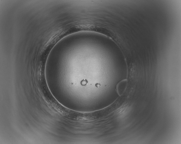 X0000077360739200610201322