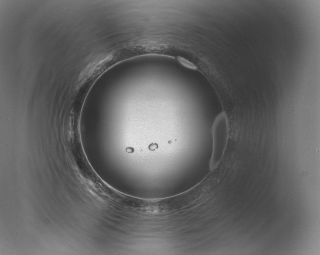 X0000077360740200610201322