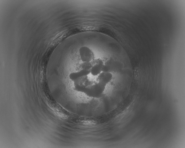 X0000077360741200610201322