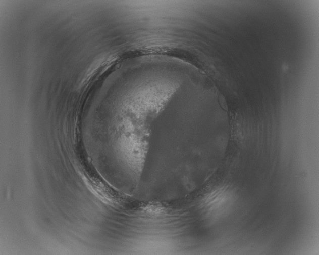 X0000077360742200610201322