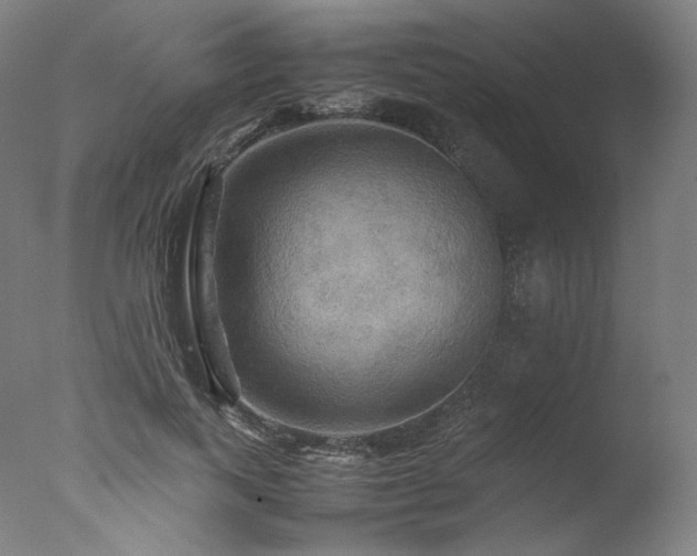 X0000077360743200610201322