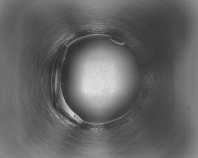 X0000077360744200610201322