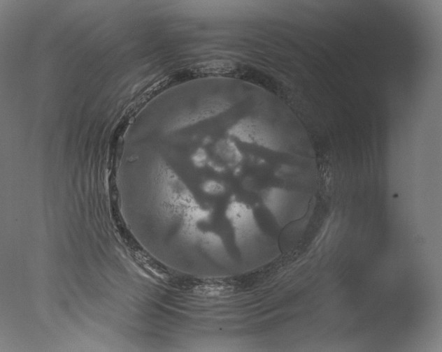 X0000077360745200610201322