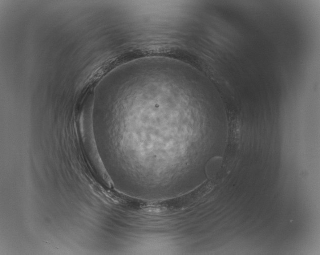 X0000077360746200610201322