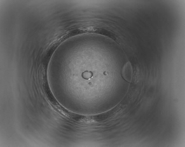 X0000077360747200610201322